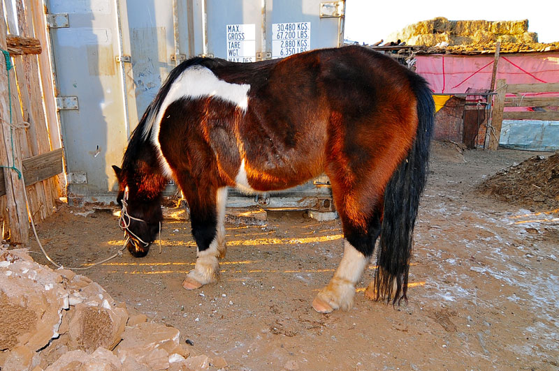 Mongolia